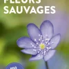 Livre Fleurs sauvages - Guide nature aux Éditions Ulmer - 192 pages