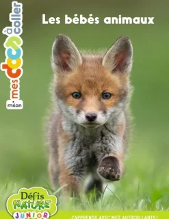 Livre gommettes "Les bébés animaux" aux Éditions Milan collection Mes docs à coller