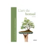 Livre L'art du bonsaï aux Éds Ulmer Guide pratique et philosophique - 215 pages