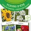 Livre "Les antisèches : fleurs d'Été" Éditions Terre Vivante