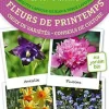 Livre "Les antisèches : fleurs de Printemps" Éditions Terre Vivante