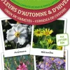 Livre "Les antisèches : fleurs d'Automne et d'hiver" Éditions Terre Vivante