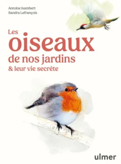 Livre Les oiseaux de nos jardins et leur vie secrète aux Éditions Ulmer - 127 pages