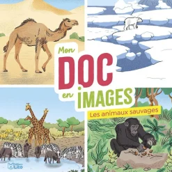 Livre pour enfant Les animaux sauvages Les premiers documentaires éditions Lito