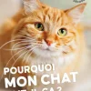 Livre Pourquoi mon chat fait-il ça ? Aux Éditions Ulmer - 96 pages