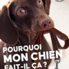 Livre Pourquoi mon chien fait-il ça ? Aux Éditions Ulmer - 96 pages