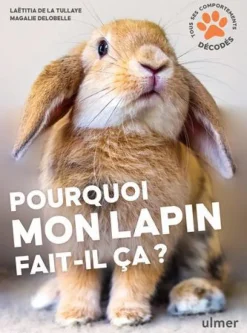 Livre Pourquoi mon lapin fait-il ça ? Aux Éditions Ulmer - 96 pages