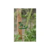 Lot de 6 attaches pour tuteur – couleur vert