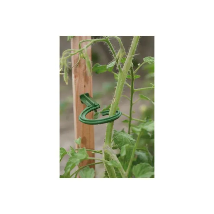 Lot de 6 attaches pour tuteur – couleur vert