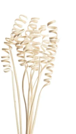 Lot de 10 cannes naturelles torsadées artificielles coloris beige - 50 à 65 cm