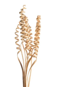 Lot de 10 cannes naturelles torsadées artificielles coloris beige - 50 à 65 cm