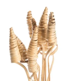 Lot de 10 cônes de canne naturel artificielles coloris beige - 45 à 55 cm