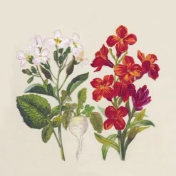 Lot de 25 serviettes 2 plis Botanical coloris multicolore en papier recyclé - 33 x 33 cm