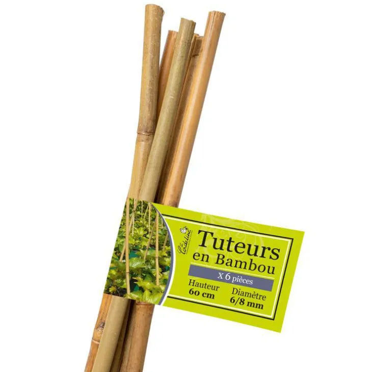 Lot de 6 tuteurs coloris bois en bambou - 60 cm