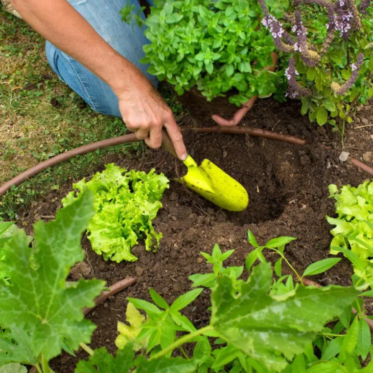 Lot d'outils à main pour le jardin coloris anis (transplantoir, serfouette, griffe) botanic® - 3 outils