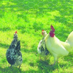 Maille hexagonale triple torsion Galvanex, 1,9 cm, en métal, 1000 X 50 cm