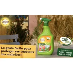 Maladies Polyvalent Spray 750 ml