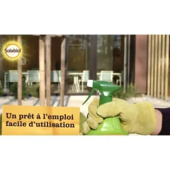 Maladies Polyvalent Spray 750 ml