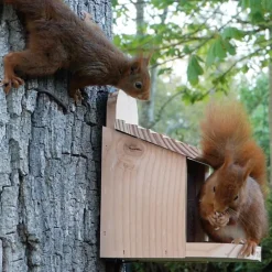 Mangeoire en pin 2 en 1 pour oiseaux ou écureuils 18 x 20 x 24 cm