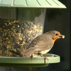 Mangeoire pour oiseaux en plastique 100 % recyclé coloris vert Natures Market Émilie - 21,7 x 20 cm