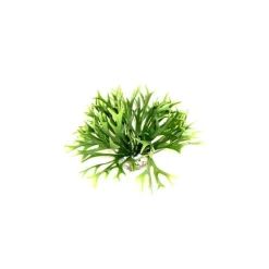 Massif d’algue vert en plastique petit modèle Ø 20 x 14 cm