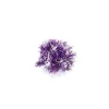 Massif de sprengeri violet en plastique 12 cm