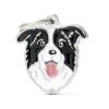 Médaille friends pour border collie