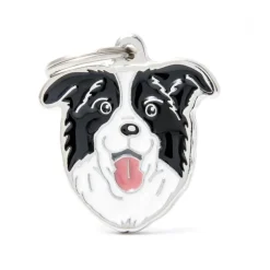 Médaille friends pour border collie