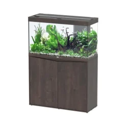 Meuble pour aquarium Splendid chêne foncé