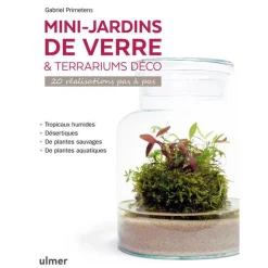 Mini-jardins de verre et terrariums déco aux éditions Ulmer