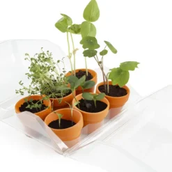 Mini-serre 6 pots enfants