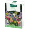 Mélange bouquet parfumé botanic® - 40 bulbes