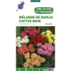 Mélange dahlia Cactus nain botanic® - 5 bulbes