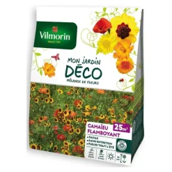 Mélange de fleurs Camaieu Flamboyant 25m2