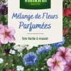 Mélange de fleurs parfumées Vilmorin - graines à semer pour 4 m² de surface