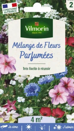 Mélange de fleurs parfumées Vilmorin - graines à semer pour 4 m² de surface