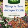 Mélange de fleurs Vivaces pour Rocaille Vilmorin - graines à semer