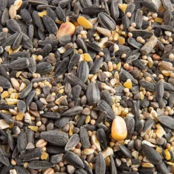 Mélange de graines bio pour oiseaux Grain de vie - 5kg