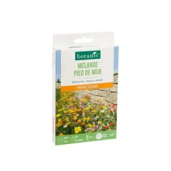 Mélange de graines pour pied de mur botanic® - graines à semer (5 m²)