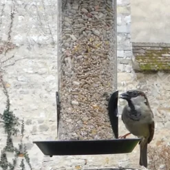 Mélange de graines suprême - 1,8 kg