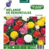Mélange Renoncules botanic® - 25 bulbes