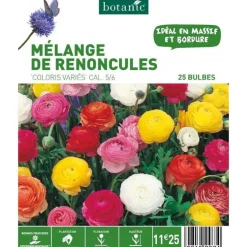Mélange Renoncules botanic® - 25 bulbes