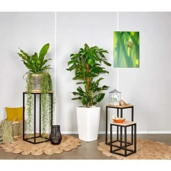 Monstera et son pot Cubico premium Ø 30 blanc