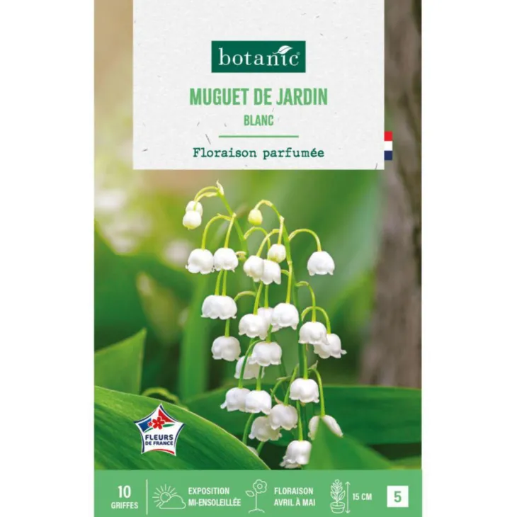 Muguet de jardin blanc botanic® - 10 griffes