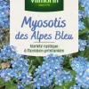 Myosotis des Alpes bleu Vilmorin - graines à semer