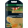 Nano feuilles de Catappa