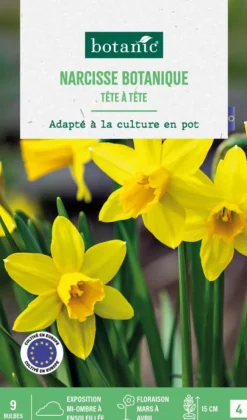 Narcisse botanic® - 9 bulbes