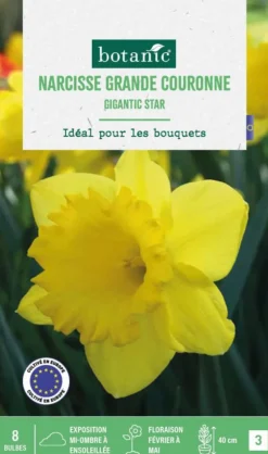 Narcisse gigantic star botanic® - 8 bulbes