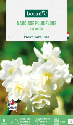 Narcisse pluriflore botanic® - 9 bulbes