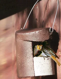 Nichoir pour rouges-gorges ou gobe-mouches gris en béton de bois coloris marron Schwegler